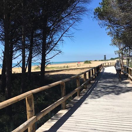 Appartamenti Sirio Via Pesci 6,8,14 Bibione Eksteriør bilde